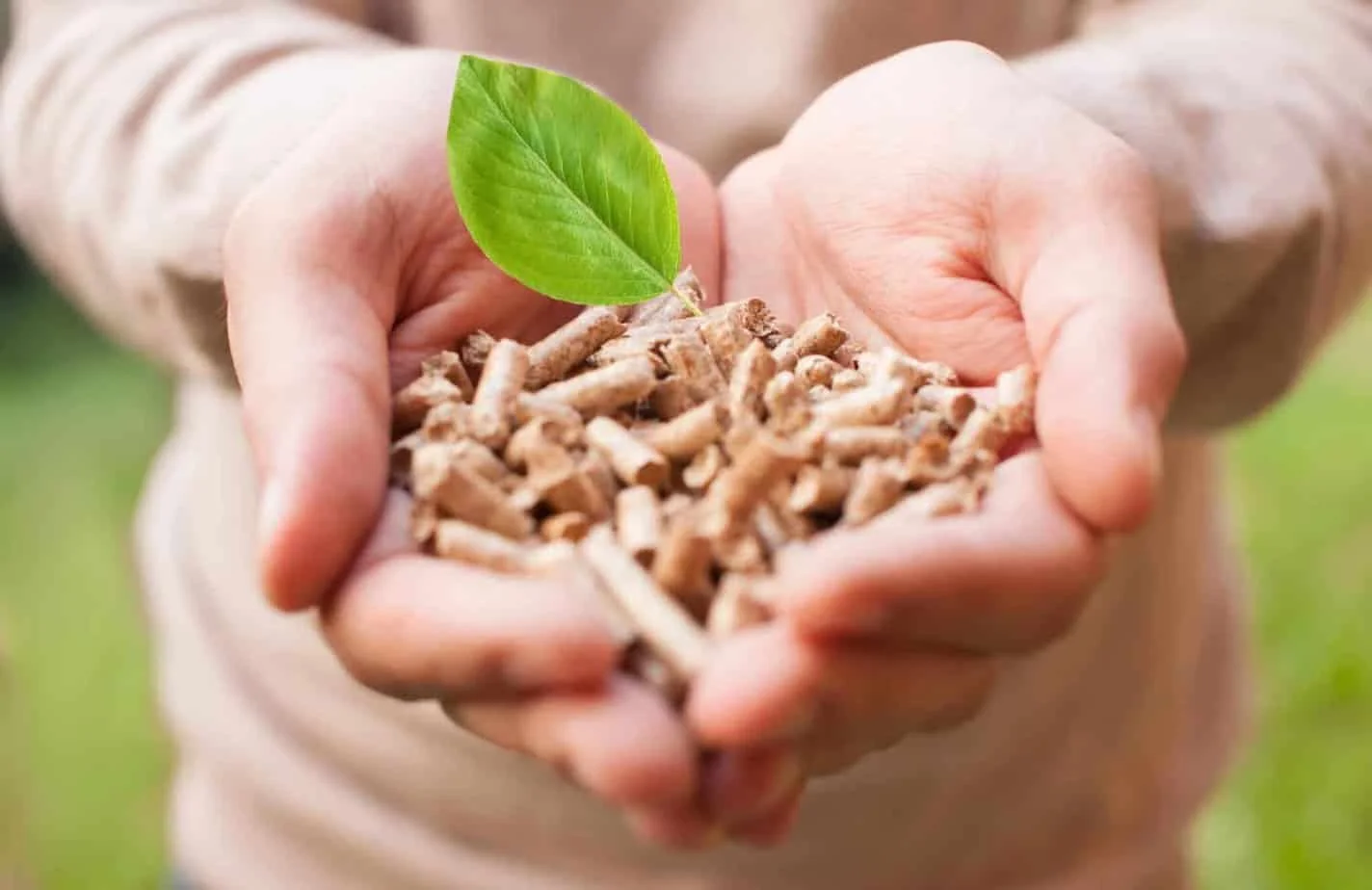 VIÊN NÉN GỖ: NGUỒN NĂNG LƯỢNG SẠCH CHO TƯƠNG LAI